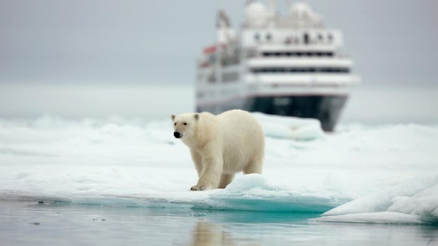 Silversea's Silver Explorer visits the Arctic.