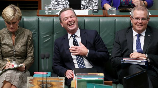 "I'm a fixer": Christopher Pyne in Parliament with Julie Bishop and Scott Morrison.