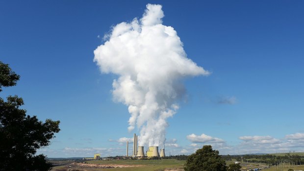 AGL Energy's brown coal fired power station in Victoria is one of the nation's biggest emitters of carbon dioxide.