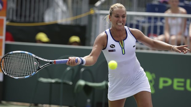 Delivering her assessment: Dominika Cibulkova.