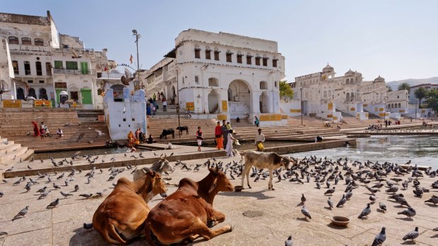 The sights, smells and unfamiliar rituals of India can befuddle and sometimes alarm visitors.