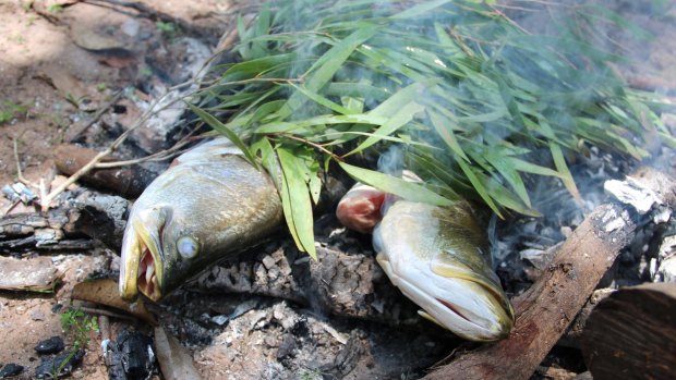 Barramundi on an open fire.