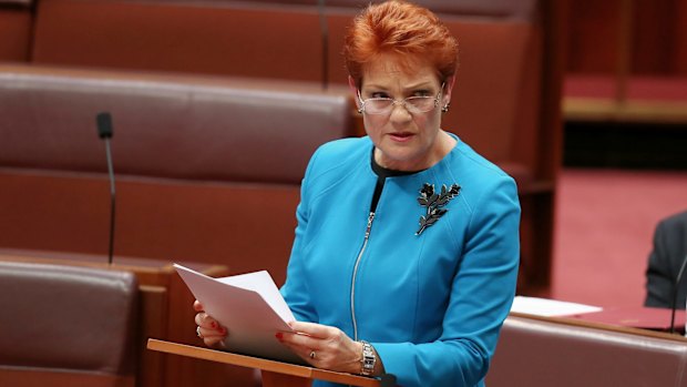 In her first speech in the Senate last week, Pauline Hanson said Australia was in danger of being "swamped" by Muslims.