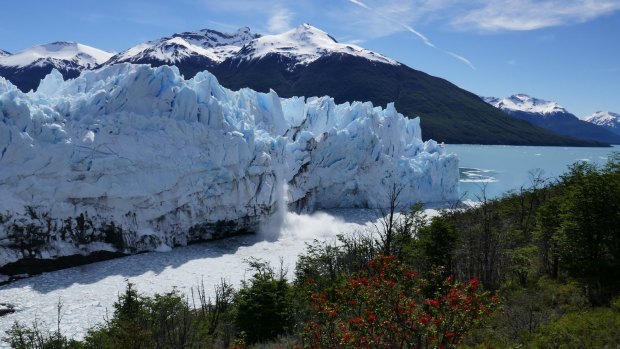 An ice fall or rupture at the wall of the Perito Moreno Glacier, Southern Patagonia. 