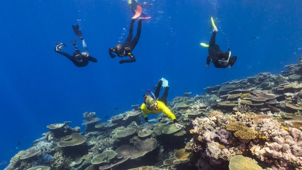 The project on the Great Barrier Reef, to boost coral resilience, is a collaboration with Mars Sustainable Solutions, part of Mars Incorporated, and Reef Magic Cruises, alongside James Cook University and Indigenous rangers.