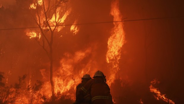 A bushfire rages in Londonderry in November as firefighters battle to contain the blaze.