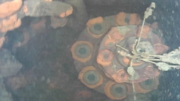 This image captured by the underwater robot shows a part of a control rod drive of Unit 3 at Fukushima No.1 nuclear plant in Okuma town, north-eastern Japan.  