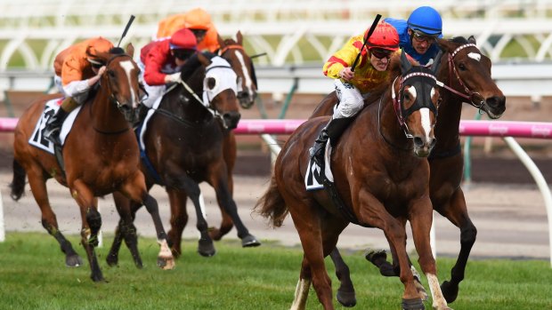 In charge: Mark Zahra steers Palentino to victory over Black Heart Bart in the Makybe Diva Stakes at Flemington on Saturday.
