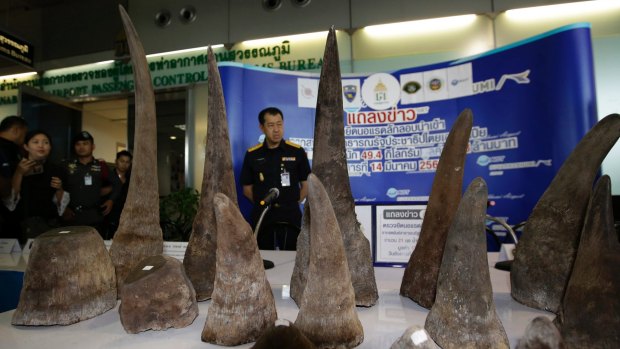 Thai customs officers with almost $6.6 million of seized rhino horns at the customs office in the Suvarnabhumi airport, Bangkok.