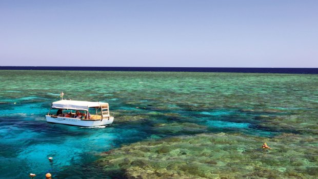 A Coral Expeditions glass bottom boat at Nathan Reef.