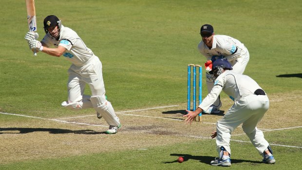 Adam Voges finds the gap on day two at the WACA.
