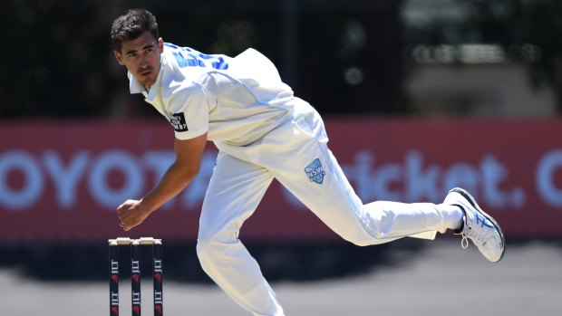 Mitchell Starc has been in sizzling form in the Shield.