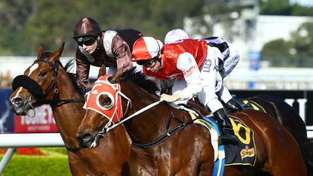 Boom: Tim Clark rides Butterboom to win The Schweppes Handicap at Rosehill.