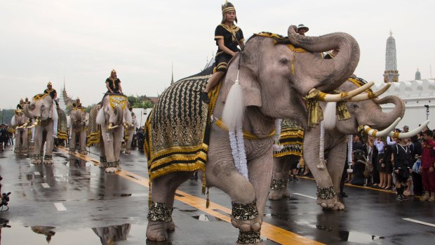 Mahouts lead a procession of 11 white elephants past the Grand Palace in honour of Thailand's late King Bhumibol Adulyadej.