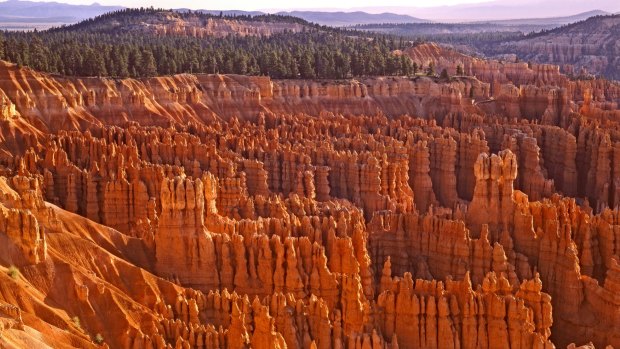Bryce Canyon is a sprawling reserve with a collection of giant natural amphitheatres where the maze-like layering of millennia has been revealed in spire-shaped rock formations called hoodoos.