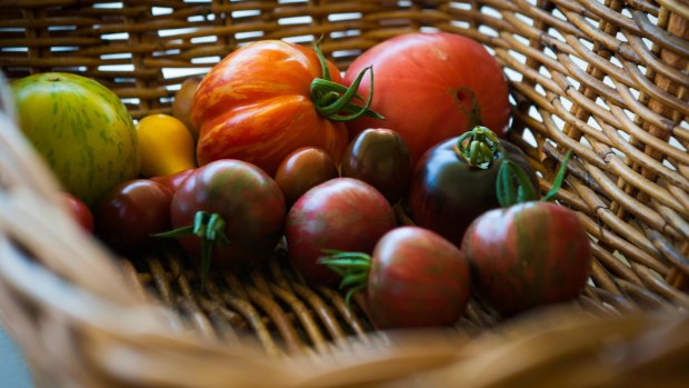 Time to think tomatoes, in all their variety.