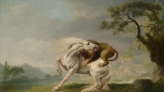 George Stubbs, A lion attacking a horse (c. 1765)  in The Horse at the National Gallery of Victoria, Melbourne. Felton Bequest, 1949.