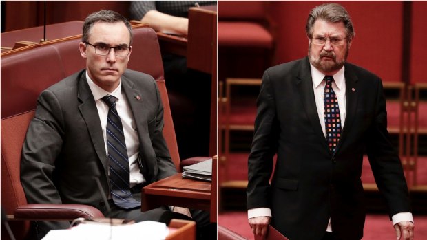 Tim Storer and Derryn Hinch in the Senate today.