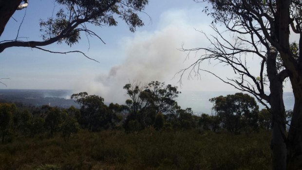 The report has emerged just a day after a bushfire endangered lives and consumed buildings in Wattle Grove and Kenwick. 