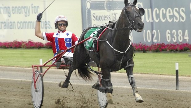 Back in action: Dual Inter Dominion champion Beautide trialled at Menangle on Friday.
