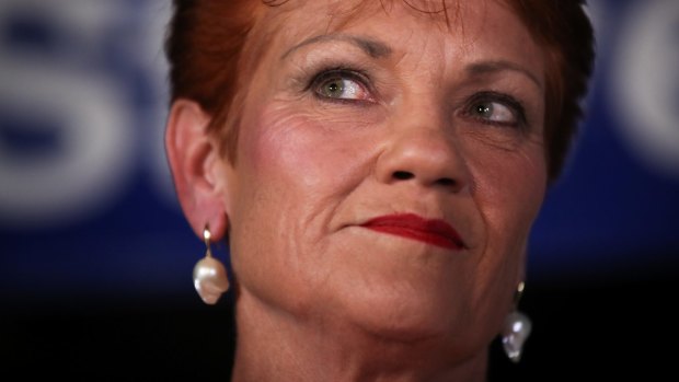 One Nation Senator Pauline Hanson won approval to run her party in NSW on Wednesday.
