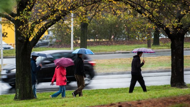 The Bureau of Meteorology is forecasting up to 15 millimetres of rain to follow a mostly sunny Friday morning.