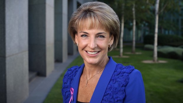 Employment Minister Michaelia Cash confirmed that penalty rates would be determined by a current Fair Work Commission review.
