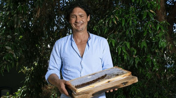 Colin Fassnidge on the roof of Four in Hand restaurant with his hand-made honey.