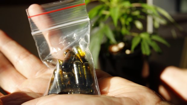 A Perth epilepsy advocate says WA parents are breaking the law to obtain cannabis oil.