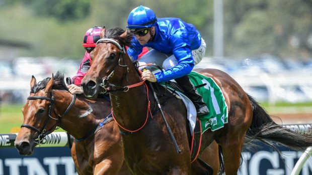 Boom: Dynamited ridden by Tye Angland made a near-perfect debut at Rosehill.