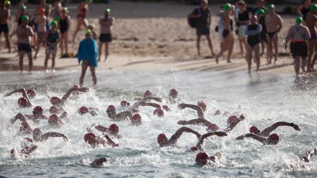 Competitors hit the water at the start of the swimming races at Shelly Beach before crossing the finish line on Manly's foreshore in the 33rd year of the event.