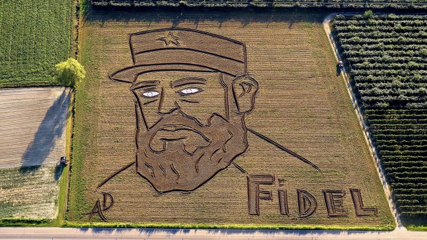 A giant portrait of former Cuban leader Fidel Castro drawn with a tractor and plough on a 27,000-square-metre corn field by Italian artist Dario Gambarin, to celebrate the historic visit of Pope Francis to Cuba.