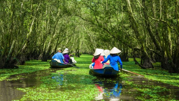 Tra Su Bird Sanctuary offers some tranquillity in Vietnam.