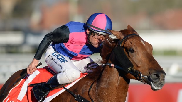 Exciting: Vega Magic will likely start in the Memsie Stakes on Saturday.