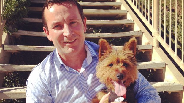 Mark McGowan has vowed to put an end to WA puppy farmers.