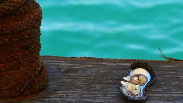 A three-hour pearl diving experience can be part of a visit to Sir Bani Yas Island.