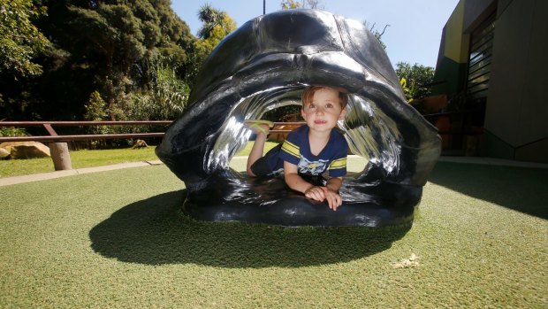 Logan, 4, plays at the Melbourne Zoo Growing Wild project. 