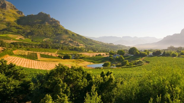 The town of Stellenbosch in South Africa's Western Cape is surrounded by vineyards.