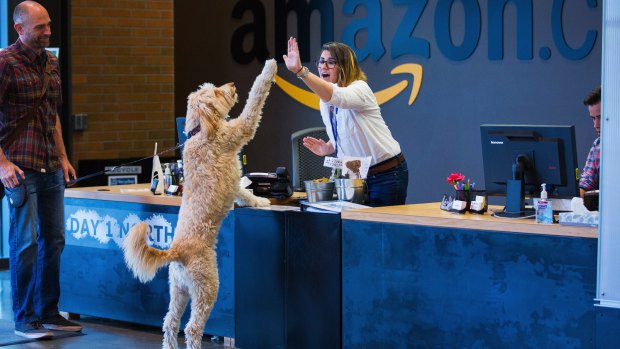 Chris Clare and his dog, Crosby, greet receptionist Andrea Kraus on Amazon's pet-friendly campus in Seattle.