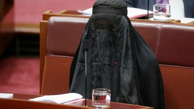 Senator Pauline Hanson earned the ire of colleagues for wearing the burqa during Senate question time.