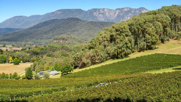 Bright sits in the heart of the Alpine Valleys wine region.