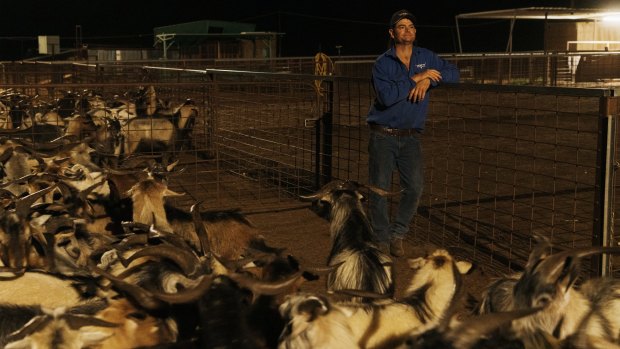"Goats were once considered worthless pests," says John Blore of Silverton Goats.