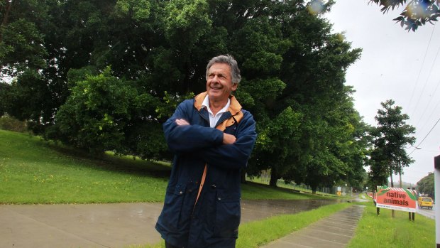 Local resident Peter Tzannes says the trees on the edge of Centennial Park could easily be saved if the government allowed for an alternative route for the light rail line.