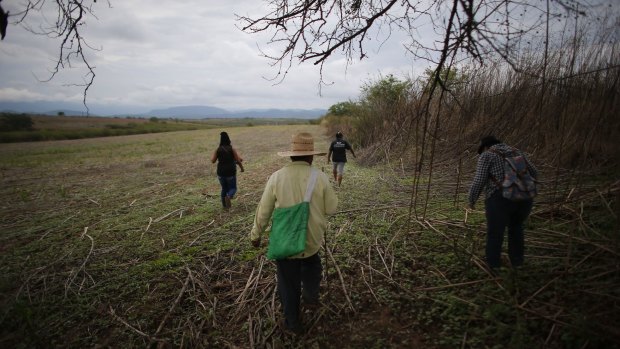 A group of relatives of missing people walk in a field in Iguala in May as they search in vain for a site of a possible clandestine grave after they received an anonymous tip.