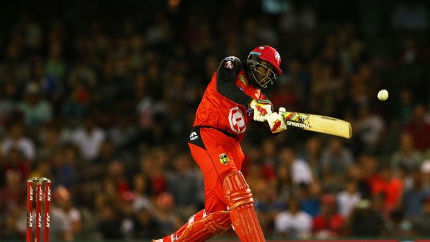 Chris Gayle in action during this year's Big Bash League.