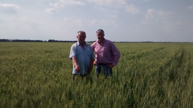 Lawrence Richmond (right) examines a Ukraine wheat crop with agronomist Taras Stepanovich. 