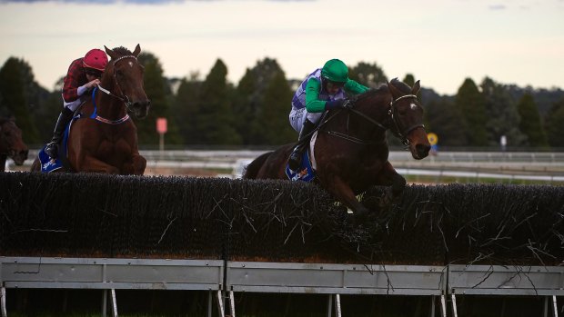 Jockey Richard Cully rides Wells to victory in the Grand National steeplechase at Ballarat