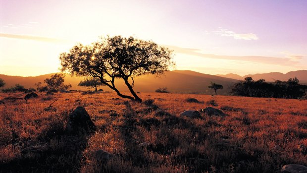 Sunset on the outback: South Australia.