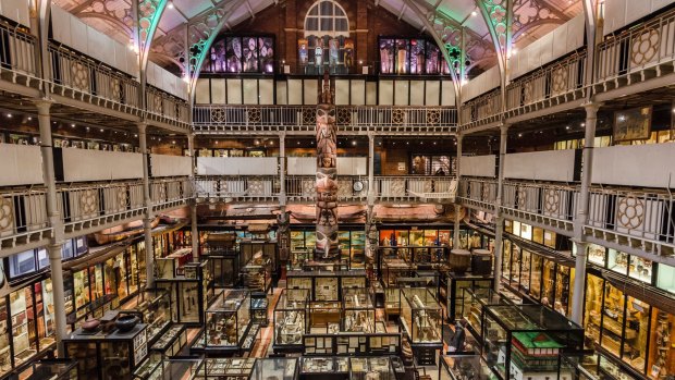 奥古斯都亨利·莱恩。福克斯皮特河流,收集了一些22000的文物,也曾经历年少轻狂,他所有的捐赠给牛津大学的条件,建立一个博物馆的房子。