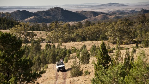 On safari in Australia on the Arkaba Conservancy, Flinders Ranges, South Australia.